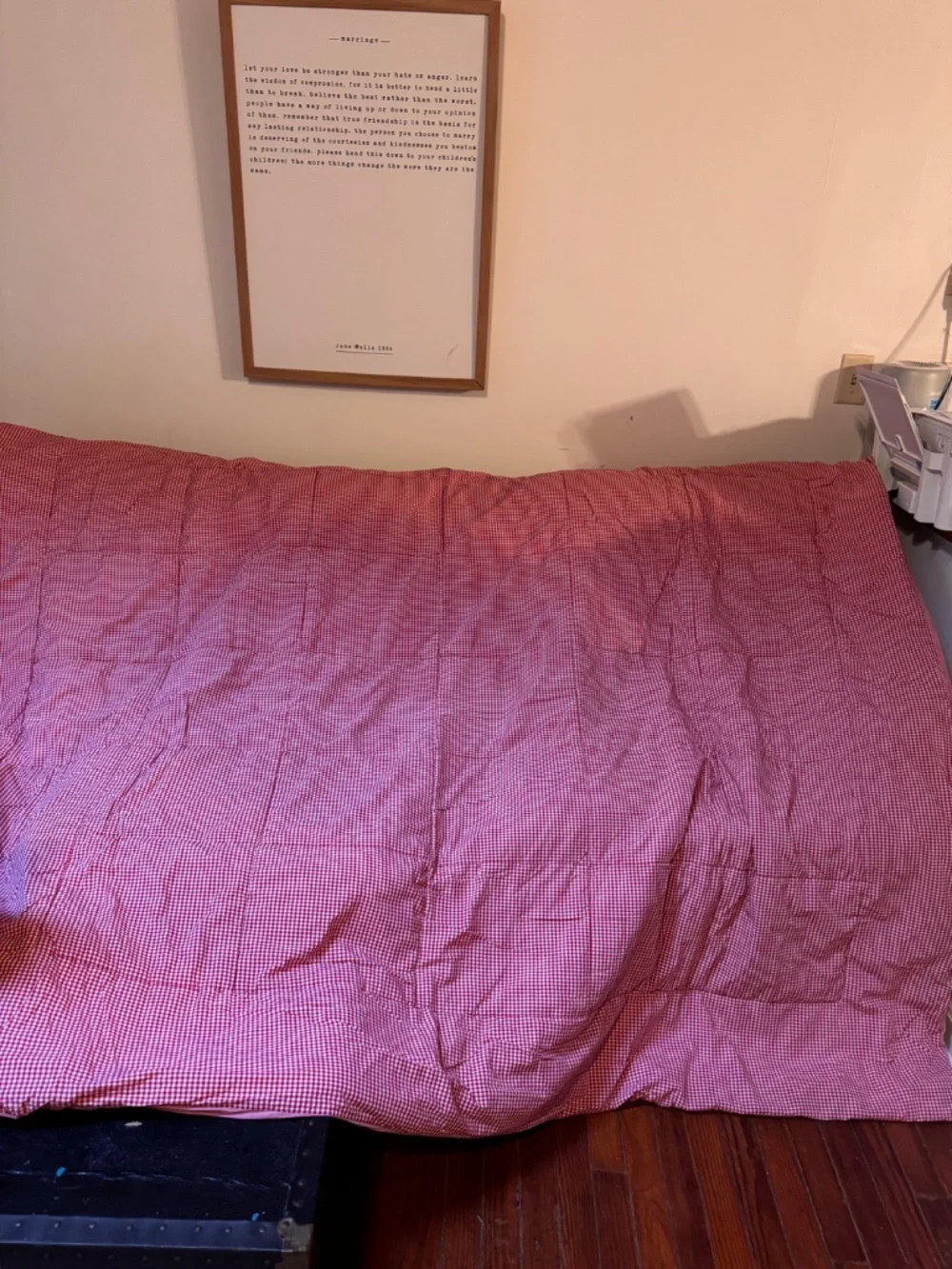 Rare Pottery Barn Kids Gingham twin comforter organic cotton Vintage collectors